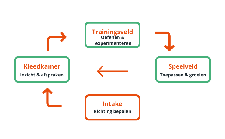 be robin aanpak cyclus